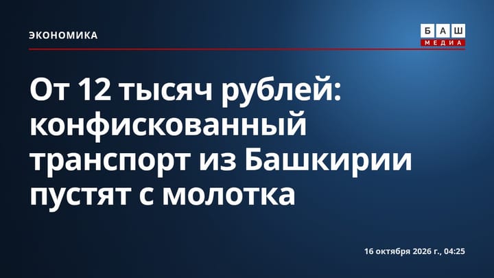 От 12 тысяч рублей: конфискованный транспорт из Башкирии пустят с молотка