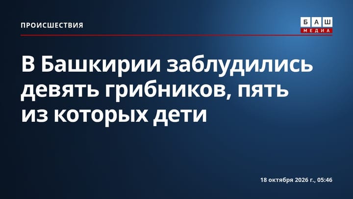 В Башкирии заблудились девять грибников, пять из которых дети