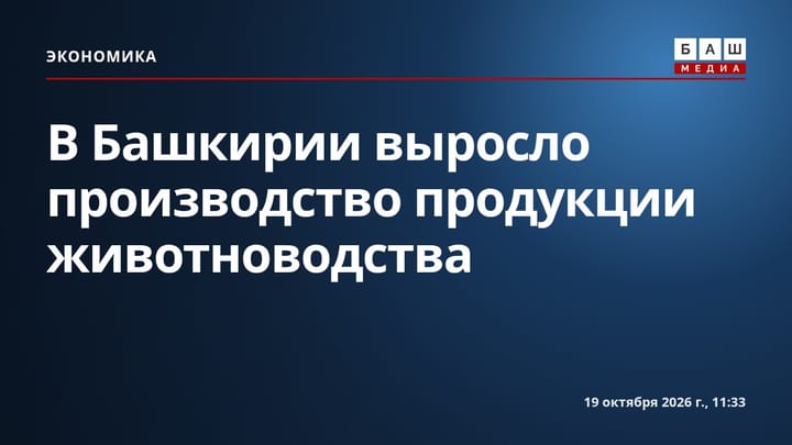 В Башкирии выросло производство продукции животноводства