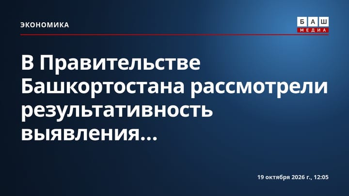 В Правительстве Башкортостана рассмотрели результативность выявления...