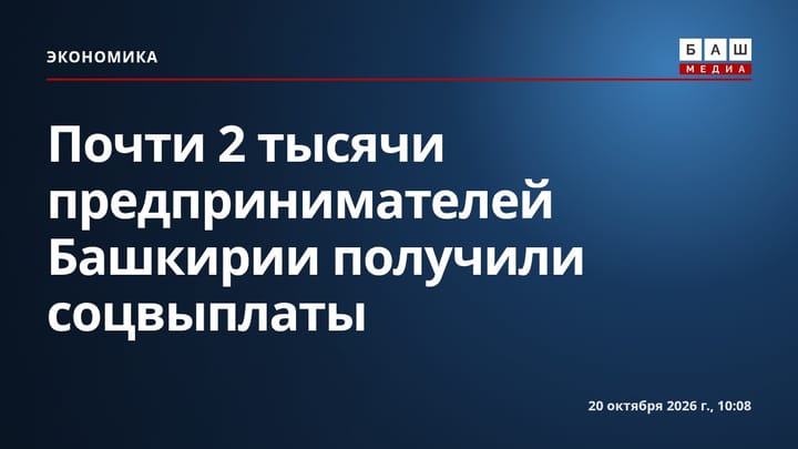 Почти 2 тысячи предпринимателей Башкирии получили соцвыплаты