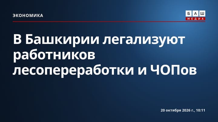 В Башкирии легализуют работников лесопереработки и ЧОПов