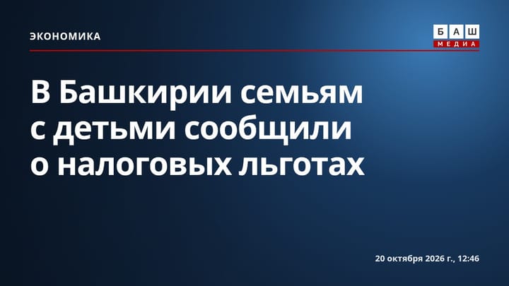 В Башкирии семьям с детьми сообщили о налоговых льготах