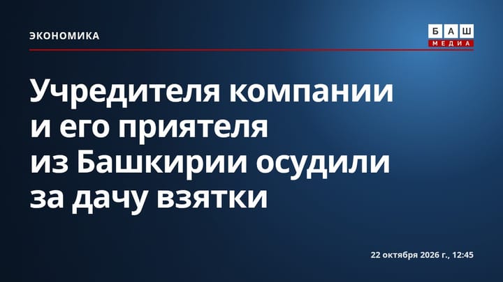 Учредителя компании и его приятеля из Башкирии осудили за дачу взятки