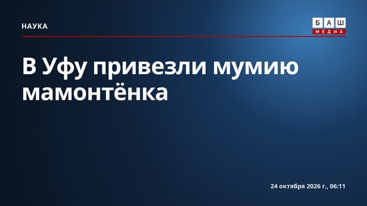 В Уфу привезли мумию мамонтёнка